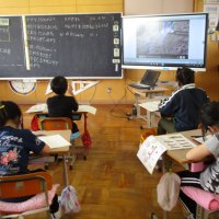 ホウセンカのたねをうえよう（３年理科）