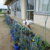 休み時間の様子