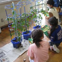 観察日記を書こう（２年生活）