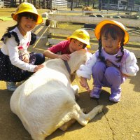 １年生　校外学習に行ってきました！