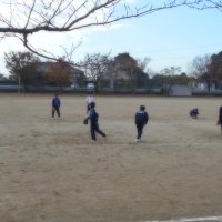 体育の授業の様子（２年生）