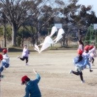 凧、凧あがれ(1年)