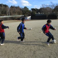 部活動の様子