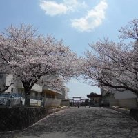 令和７年度が始まりました
