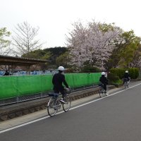 登校の様子