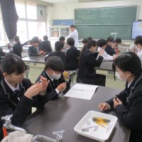 １年３組　理科・英語